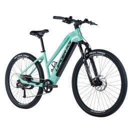 Leader Fox Arimo D&aacute;msk&eacute; 29" Green light, 720Wh