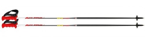 sjezdov&eacute; hole